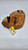 Used Cooper DIAMOND 25 BB/SB First Base LH Throw Brown 14" 10589-S000399550 View 1