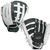 Baseball & Softball Fastpitch Gloves View 1