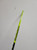 Sticks Youth One Piece Sticks View 3