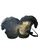 Used Champro SCORPION YTH MED FB Shoulder Pads Black MD 11852-S000015360 View 2