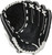 SHUT OUT SERIES 12" RHT 11757-RAWRSO120BWR View 1