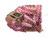 Franklin Baseball and Softball Fielders Gloves View 1
