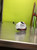 Taylormade Golf Golf / Hybrids View 1