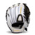 Baseball & Softball Fastpitch Gloves View 1