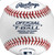 New Rawlings Training Ball 9" 11095-RAWTVB View 1