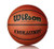 New BASKETBALL EVOLUTION 29.5" 11804-WILWTBDGBEVO7CM View 1