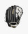 Wilson Baseball & Softball Fastpitch Gloves View 1