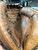 Used UNITED ATHLETIC BB/SB Catchers RH Throw Brown 33" 11868-S000059348 View 3
