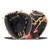 New Rawlings SELECT PRO LITE BB/SB Glove RH Throw 32" CM 11906-RAWSPLCM32AR View 1