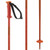 Salomon Polar Ski Poles 2025 10313-SALL47680900 View 7