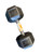 New 30 LB DUMBBELL 11724-CAPSDG-030 View 1