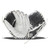 Baseball and Softball Fastpitch Gloves View 1