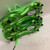 Used Adidas X SPEEDPORTAL.1 SG Soccer Cleats Kelly green Senior 7.5 11725-S000476585 View 4