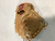 Rawlings Baseball and Softball Fielders Gloves View 2