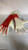 Used Adidas X GL PRO ADULT Soccer Goalie Gloves Red And White 7 11831-S000025132 View 3