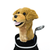 New GOLDEN RETRIVER HEADCOVER 11479-35DGOLDRETRIEVER View 1