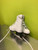 Used CCM PIROUETTE Girls Figure Skate White Junior 01 11686-S000040916 View 2