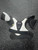 Used CCM LTP Youth Shoulder Pads LG 11849-S000022560 View 1