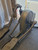 Used Life Fitness X5 Programmable Elliptical 11781-S000034267 View 9