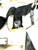 Used Vaughn EPIC 800 Goalie Leg Pads Inter Black 32" 11860-S000282747 View 11