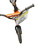 Used Giant ANIMATOR Mountain Bike Boys Orange 16" 11347-S000236705 View 2