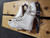 Used Riedell 34 SZ 3.5 Girls Figure Skate White Junior 03.5 11935-S000467063 View 1