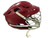 Used Cascade CASCADE R Lacrosse Helmet Maroon One Size 10743-S000451049 View 2