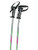 Used LEKI SKI POLES Mens DH Ski Pole None 70 cm / 28 in 10874-S000245138 View 2