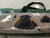Camping and Climbing Tents View 1