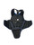 Used Mizuno BLACK CHEST PROTECTOR Catchers Chest Protector Black Youth 11706-S000293344 View 2