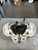 Used Air TECH JR FB Shoulder Pads White XL 10672-S000319189 View 1