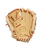 Baseball and Softball Fielders Gloves View 2