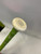 Combat MAXUM BB/SB USSSA 2 5/8 Bat 30" View 3