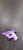 Used POC TECTAL Bike Helmet Purple SM 11849-S000024426 View 1