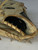 Used Rawlings PRO PREFERED BB/SB Glove LH Throw Beige 12" 11793-S000245894 View 16