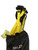 Used SKLZ AGILITY LADDER FB Training Aid 11613-S000155349 View 1