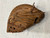 Used Spalding 42-466 Joe Torre Model Baseball First Base Mitt LH Throw Brown 13" 11750-S000176207 View 2