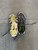 Used Nike FUTURE FIELD TURF CLEATS BB/SB Cleats Black Junior 03.5 11614-S000210188 View 1
