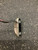 Used Spalding PRO CALIBER SOFT TOUCH 2 Mens Putter RH 11162-S000425812 View 3