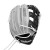 Wilson Baseball and Softball Fastpitch Gloves View 1
