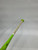 Used Miken 750X BB/SB USSSA 2 3/4 Bat 26" 11871-S000011046 View 2