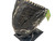 Used Rawlings SILVERBACK SB1300 Leather Softball Glove RH Throw Black 13" 11731-S000136249 View 3