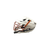 Used Cascade S Lacrosse Helmet White One Size 11458-S000118948 View 4