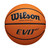 New BASKETBALL EVO NXT 11804-WIL1003301ID6 View 1