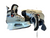 Used Bauer SFL VAPOR Senior Hockey Skate Senior 4 View 2