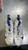 Used Nike Adult FB Cleats Royal Blue And White Senior 12 11605-S000196642 View 4