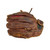 Used Nokona AMERICAN LEGEND AMG650-CW Fielders Glove RH Throw 13" 11506-S000277493 View 3