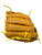 Used SSK SPECIAL MAKE UP RH 11.25 IN BB/SB Glove RH Throw Brown 11 1/4" 11838-S000039155 View 4