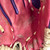 Used Rawlings HIGHLIGHT LH Throw Fastpitch Gloves Pink 10" 11406-S000104411 View 4
