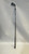 Used Titleist TITLEIST AP2 6 IRON Mens Individual Iron RH 6 Iron 11843-S000012403 View 2